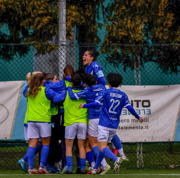Un Brescia maturo ferma la corsa del Chievo