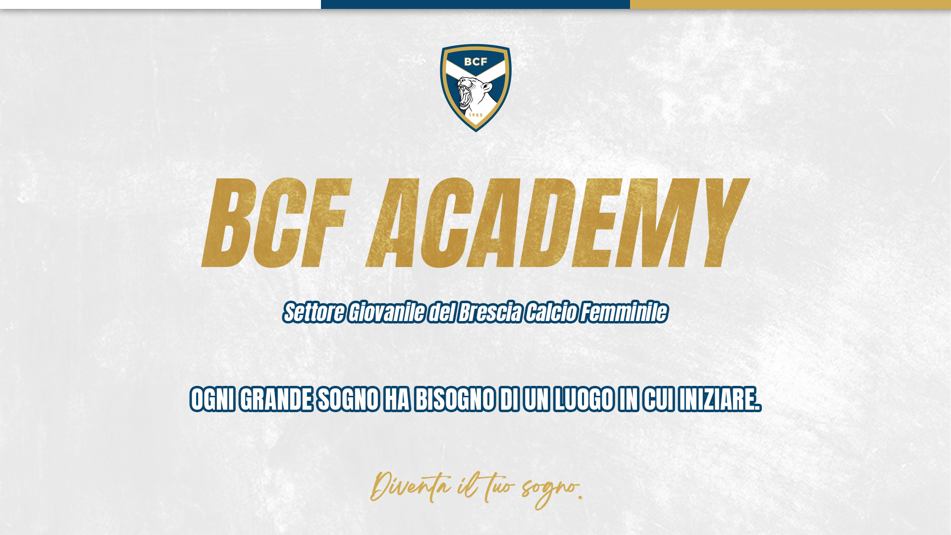 BCF Academy: molto più di un settore giovanile